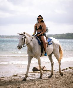 Alternative view of ATV & Horseback Riding