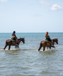 Horseback Riding and Swim