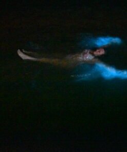 Alternative view of Luminous Lagoon Tour